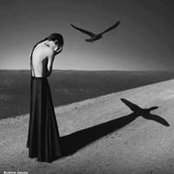 Trina Centola's photo