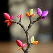 Cynthia Gianola's photo