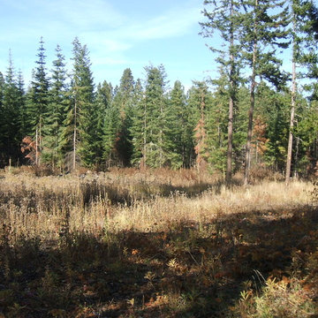 Tim's Pond in Cle Elum, Washington