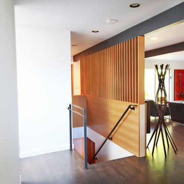 Mid Century Modern Remodel