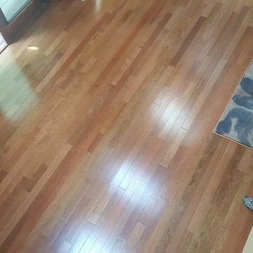Brazilian Cherry / Jatoba Hardwood Flooring 4" in Morganville, NJ