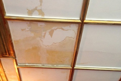 Part of Larger Project - Repair, Renovate, Restoration of Water Damaged Ceiling