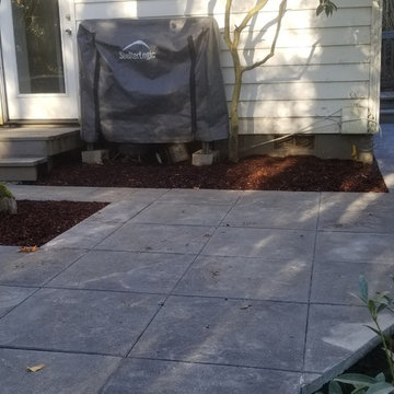 Hidden Patio Garden