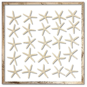 Skinny Starfish Silver Acid Washed Frame, 20x20