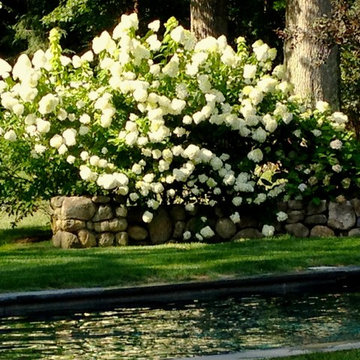 Full Landscape Renovation