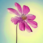 Terri McMunn's photo