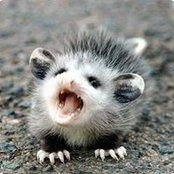 Masha Samson's photo