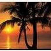 nicole's photo