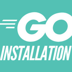Go Installation