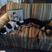 Stacey Spindler's photo