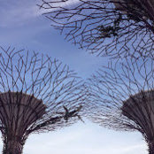 Andri deviandi's photo