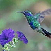 Kathe Warren's photo