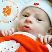Clemson Coyle's photo