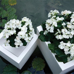 Cubotti Outdoor Planters by Serralunga - Outdoor Pots And Planters