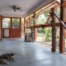 Catio