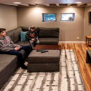 Oak Park Basement, Bath, & Beyond