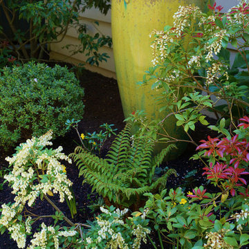 Ralph & Liz Schumacher Garden