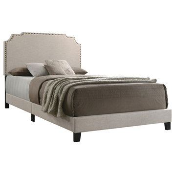 Pemberly Row Transitional Fabric Upholstered Nailhead Queen Bed Beige