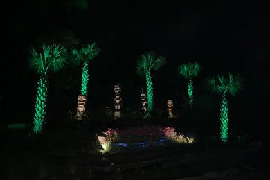 Photo of a coastal landscaping in Dallas.