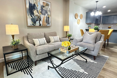 Example of a living room design in Denver