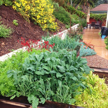 Organic Vegetable Garden