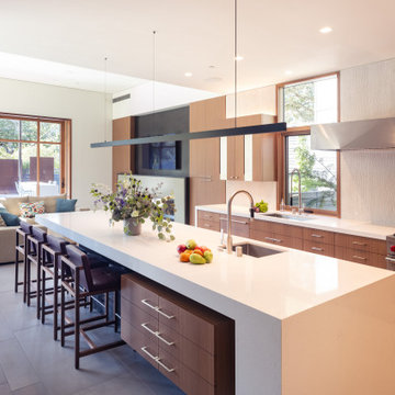 Marin Remodel