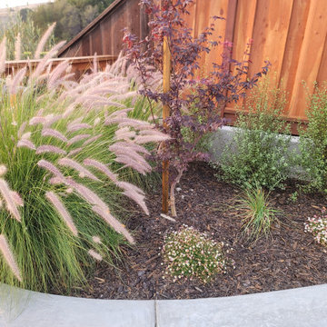 Silvercrest Ct, Pinole | Hardscape & Landscape Build
