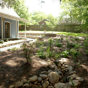 rain gardens & native plants