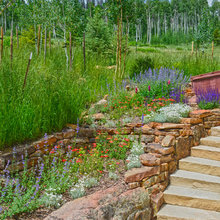 Idaho landscpae