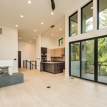 Seabeck - Contemporary Forest Edge Residence
