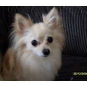Kathy Short's photo