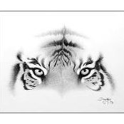 Tracy Vosloo's photo