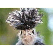 Jack Knowles's photo