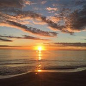Melody Lee's photo