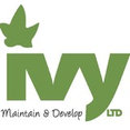 Ivy Maintain and develop's profile photo
