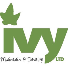 Ivy Maintain and develop