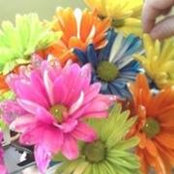 Lisa Riezinger-Ortiz's photo