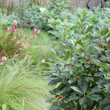 Bristol Garden
