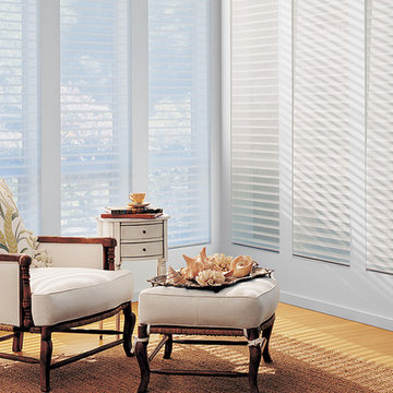 Window Sheers and Shadings