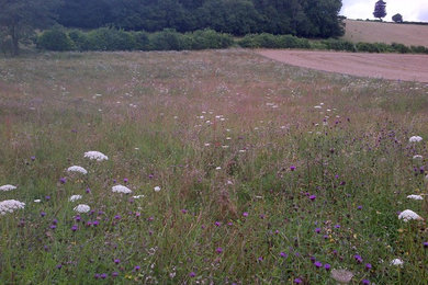 Downley House , Chalk Meadow adviced by Charles Flower