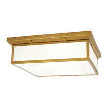 Flush Mount Ceiling Lights