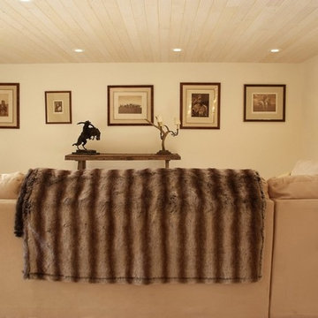 Mountain Remodel