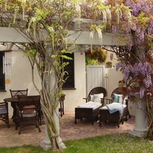 Patio Ideas