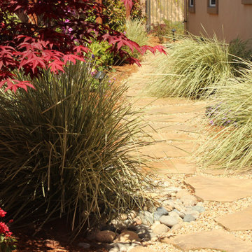 Arresting Dunes - Coastal Gem Garden