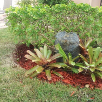 GARDEN SPRUCE UP FOR MY DAUGHTER’S WEDDING
