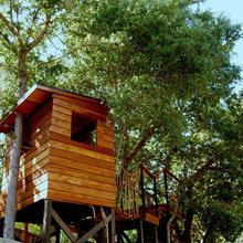tree house