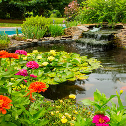 Coy Pond & Waterfall Water Feature - Outdoor Fountains And Ponds