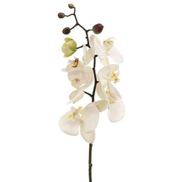 Silk Plants Direct Phalaenopsis Orchid Spray - Cream Pink - Pack of 6