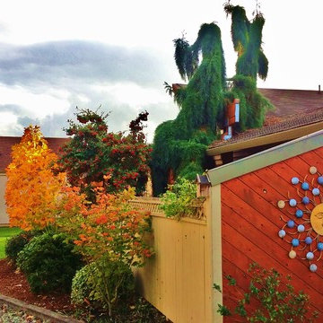 GARDEN ART: PERGOLA & XERIPAVE PERVIOUS PAVER "COBBLE STONE" RAIN GARDEN CREEK