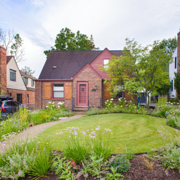 Neglected Landscape Turns into Pollinator Paradise